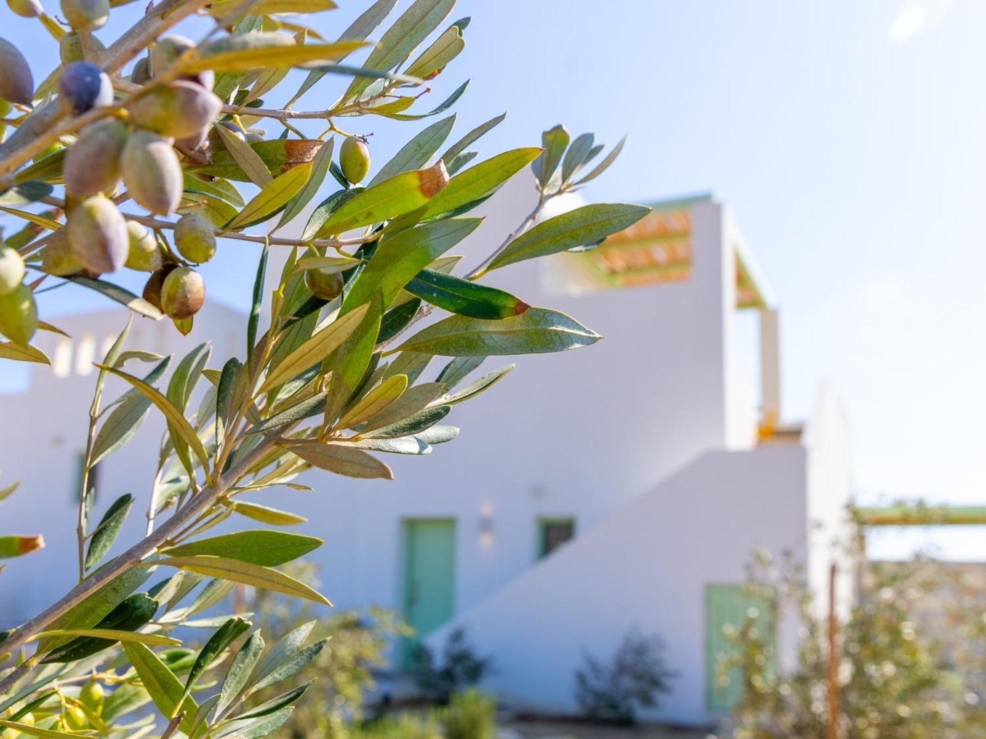 Villa Plioni & *