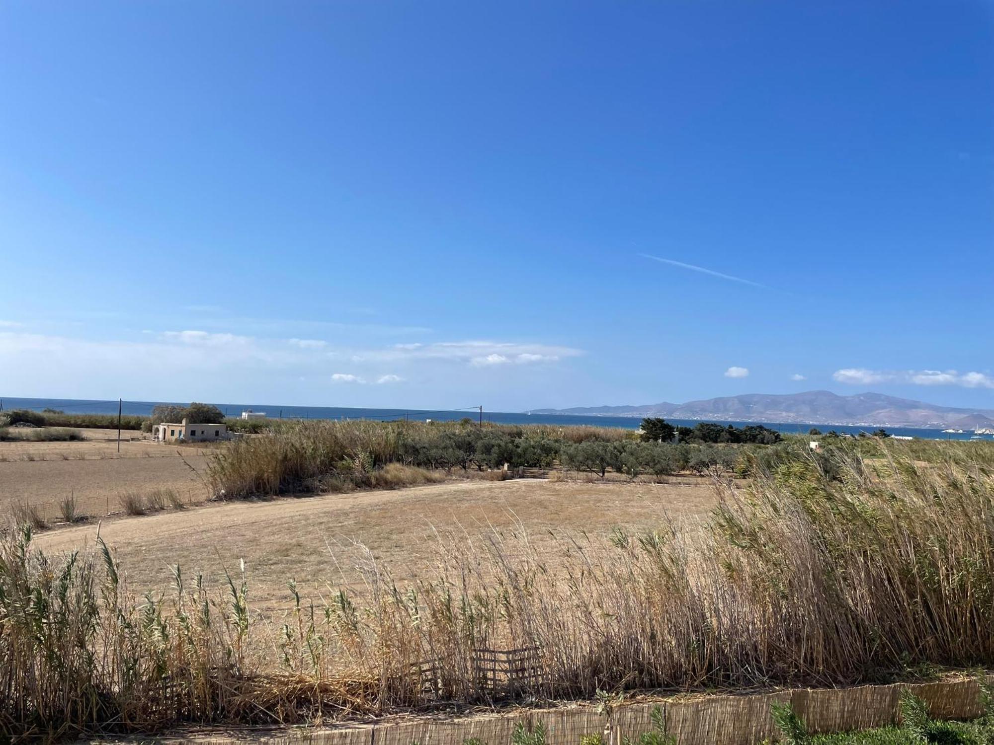 Plioni & Villa Mikri Vigla